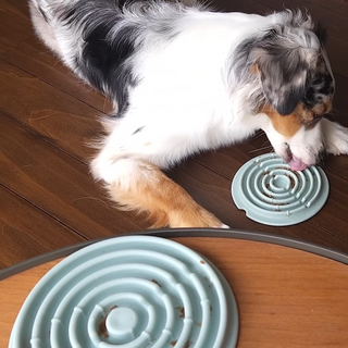 Dog using Twirl Lick Mat Slow Feeder