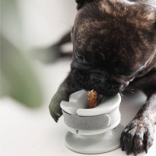 Dog usingChewden Grip Chew Holder