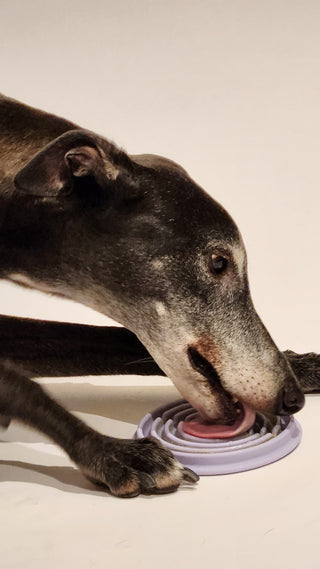Dog using Twirl Lick Mat Slow Feeder