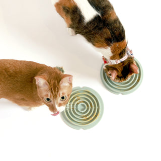 Two cats licking Twirl Lick Mat Slow Feeder
