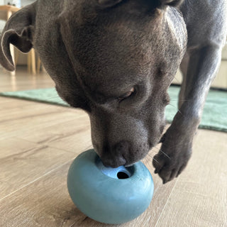 Hedi Nosing Pebble Slow Feeder Dog Toy