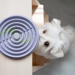 Twirl Lick Mats Slow Feeder for dogs