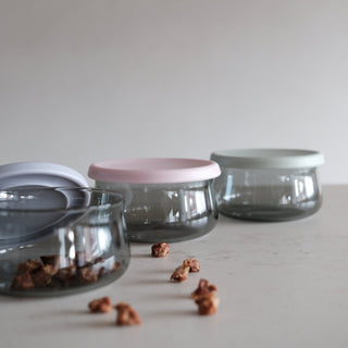 Tinted Glass Treat Jar Lunoji
