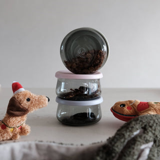 Tinted Glass Treat Jar Lunoji