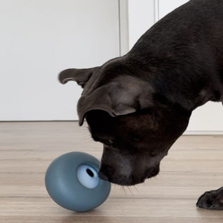 Hedi Mid Play with Pebble Slow Feeder Toy and Treat Dispenser