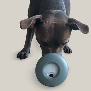Hedi Playing Pebble Slow Feeder Toy