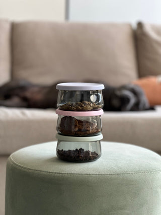 Hedi sleeping on couch with 3 glass jars
