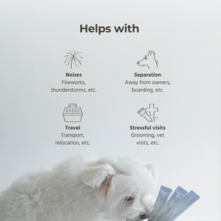 Pure Calm (Calming Supplement for Dogs & Cats)