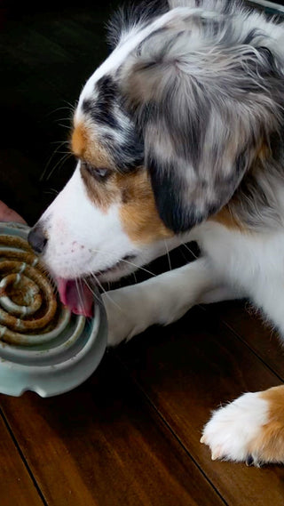 Dog using Twirl Lick Mat Slow Feeder