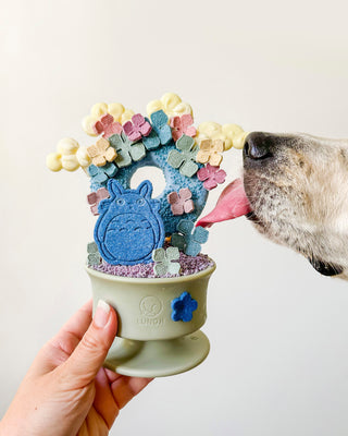 Chewden Trove Slow Feeder with Treats