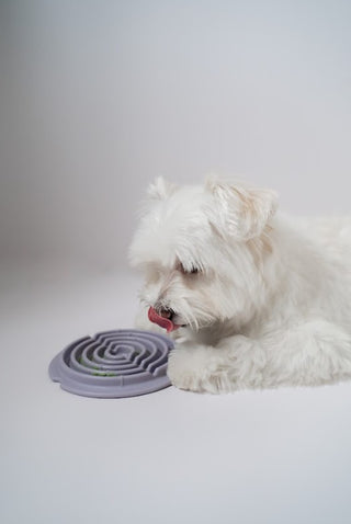 Dog using Twirl Lick Mat