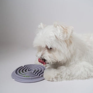Dog using Lick mat Slow Feeder