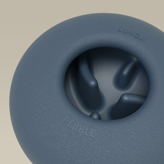 Pebble Slow Feeder Toy