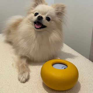 Ponyo with Pebble Slow Feeder dog Toy