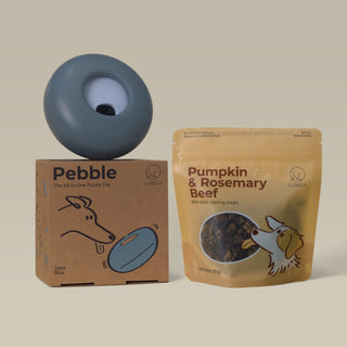 Slate Blue Pebble Slow Feeder Dog Toy bundle with treat