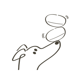 Stimulates_challenges_black