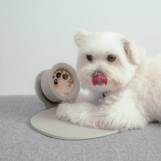 Chewden Trove Slow Feeder with Trove Blend ice cream for dogs