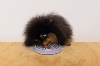 Dog using Twirl Lick Mat Slow Feeder