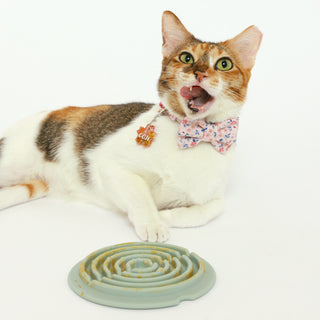 Cat using Twirl Lick Mat Slow Feeder