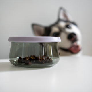 Tinted Glass Treat Jar Lunoji