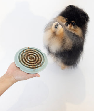 Dog asking for treats with Twirl Lick Mat Slow Feeder