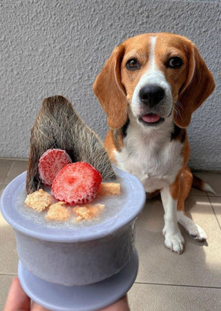Chewden Trove Slow Feeder with Treats