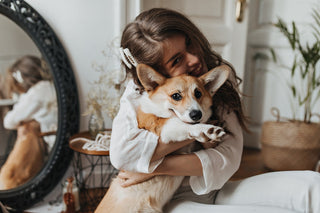 How to Improve Your Pet’s Wellness 7 Practical and Loving Ways