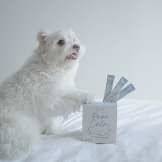 Calming Supplements for Pets: Which ones are proven to work?