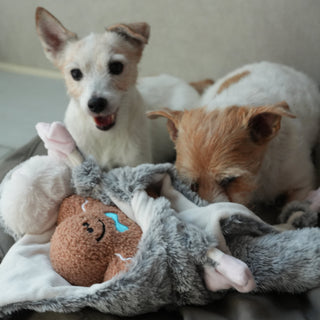 Gingerboo Snuffle Toy