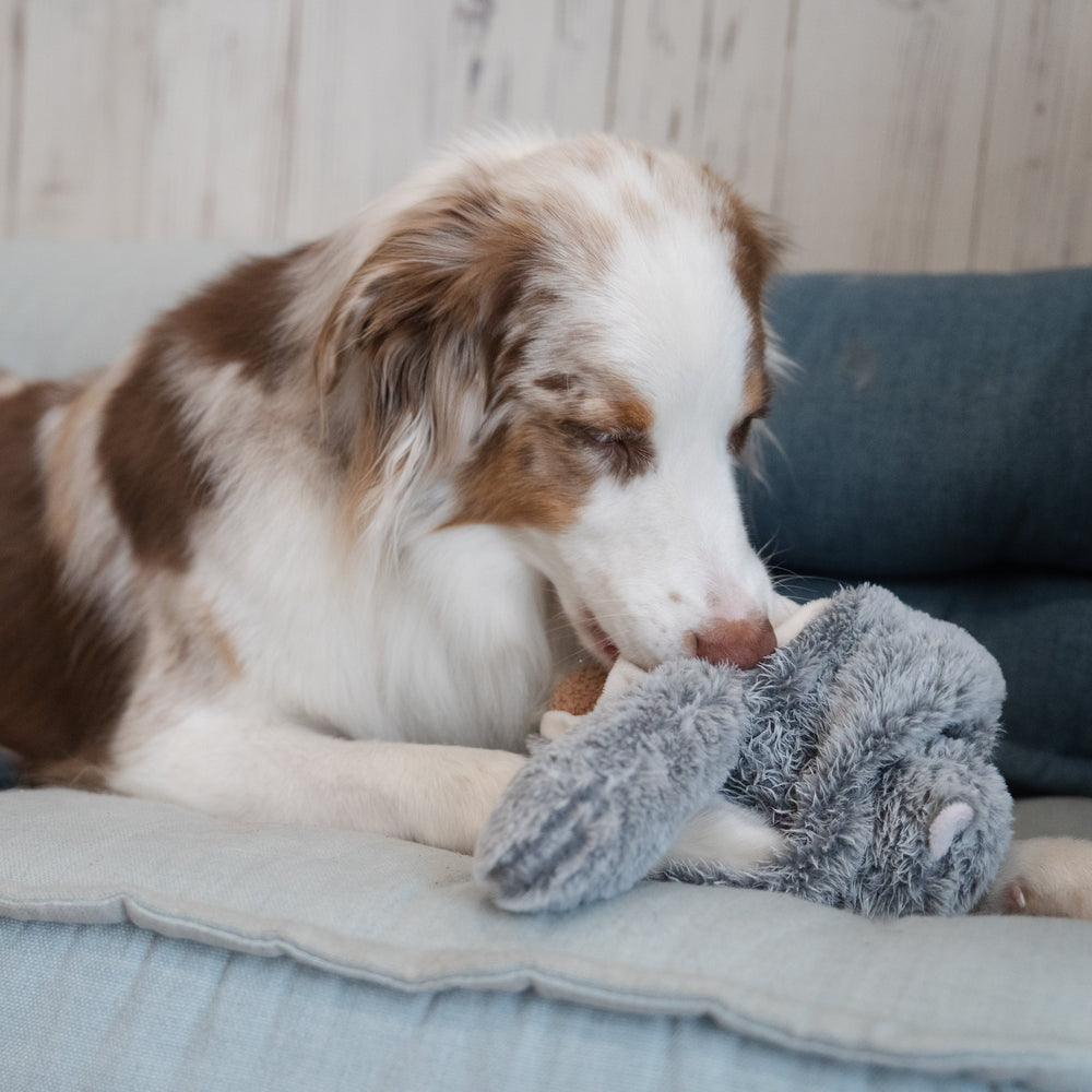 <h2>A toy for every<br/>moment.</h2>
