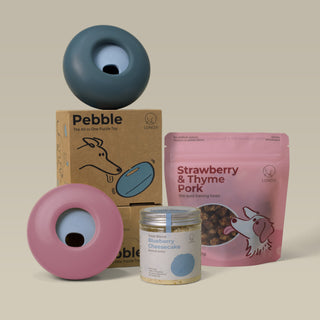 Pebble Premium Bundle (2 Pebbles + 1 Training Bites + 1 Blend)