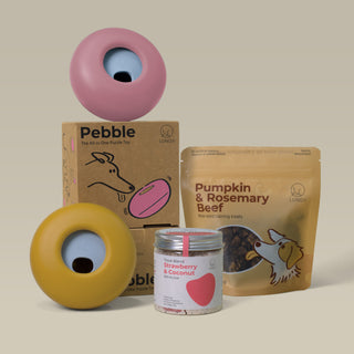 Pebble Premium Bundle (2 Pebbles + 1 Training Bites + 1 Blend)