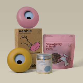 Pebble Premium Bundle (2 Pebbles + 1 Training Bites + 1 Blend)