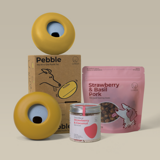 Pebble Premium Bundle (2 Pebbles + 1 Training Bites + 1 Blend)