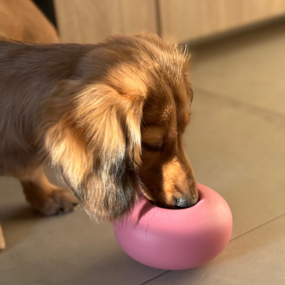 <h2>A toy for every<br/>moment.</h2>