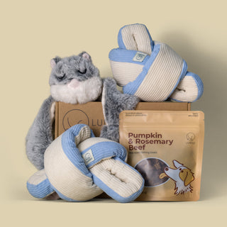 Premium Snuffle Bundle