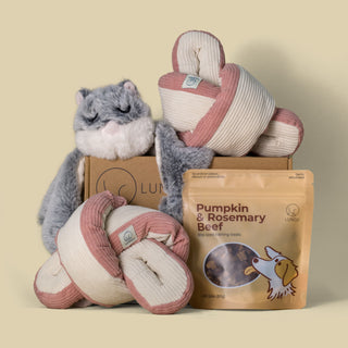 Premium Snuffle Bundle