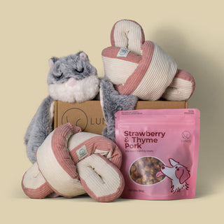 Premium Snuffle Bundle