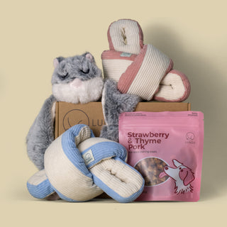 Premium Snuffle Bundle