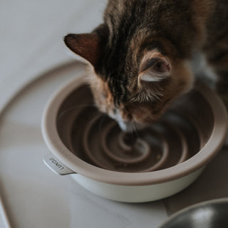 Zen Bowl