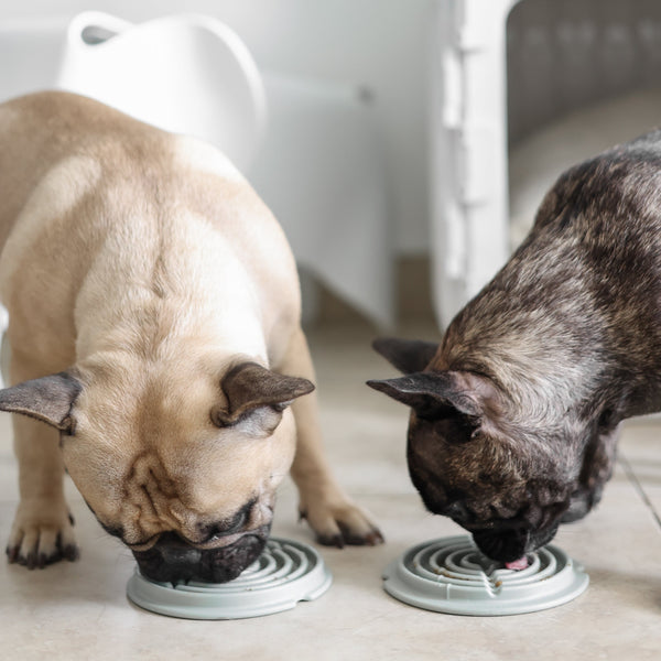 Two Dogs using Lick Mats Slow Feeder