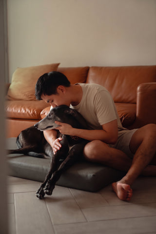 Lunoji Founder Adrian with his greyhound Oji at home