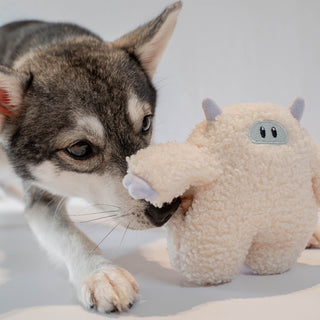 Yetiboo Snuffle Toy (2026 Special)