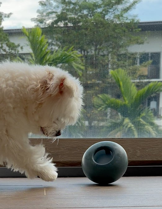 <h2>A toy for every<br/>moment.</h2>