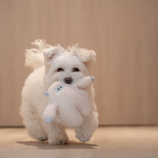 Yetiboo Snuffle Toy (2026 Special)