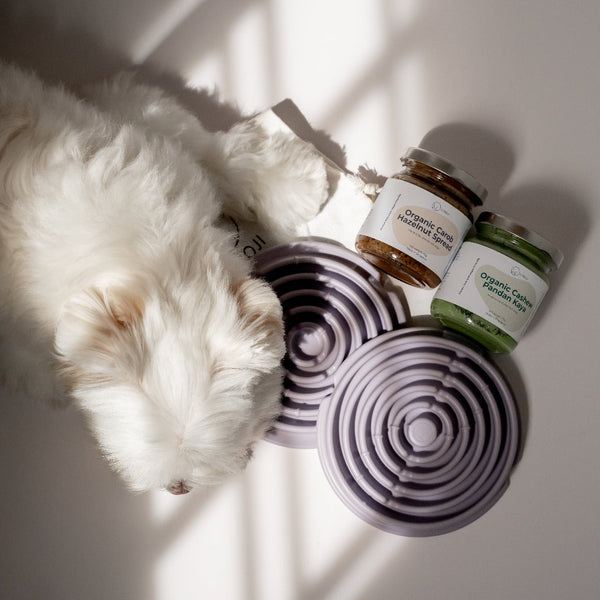 Dog with Twirl Lick Mat Slow Feeder