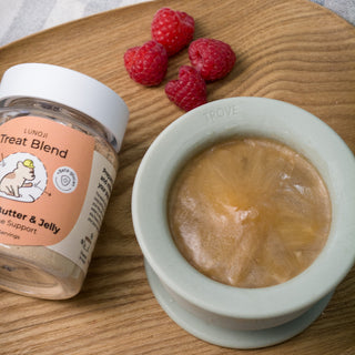 Peanut butter and jelly treat blend on a wooden board frozen into an icy dog treat.