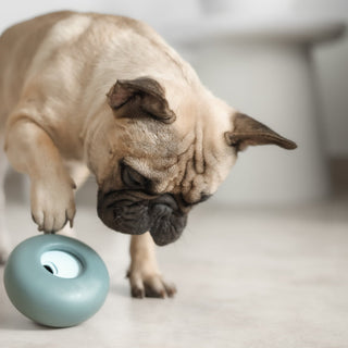 Pawing Blue Pebble Slow Feeder Toy