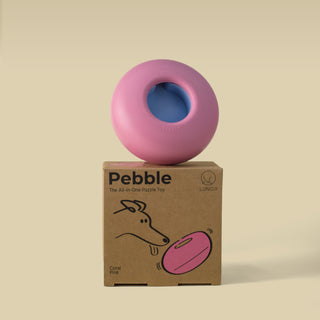 Pebble