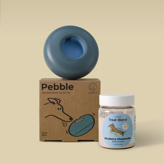 Pebble Starter Kit (1 Pebble + 1 Blend)